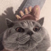 片荒终结者